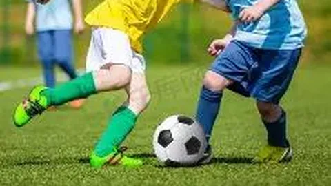 球盟会体育登录入口 资讯 085309 1x5